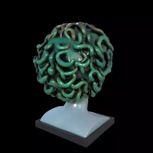 2087  Medusa Gorgon Head 3D Model  magic 3D print model_4