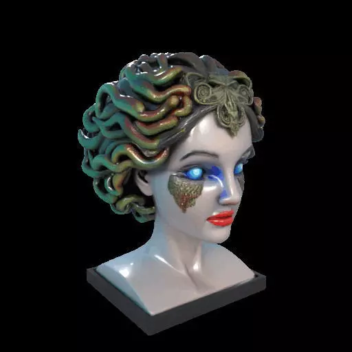 2087  Medusa Gorgon Head 3D Model  magic 3D print model_23