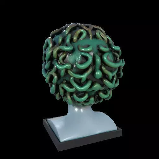 2087  Medusa Gorgon Head 3D Model  magic 3D print model_9