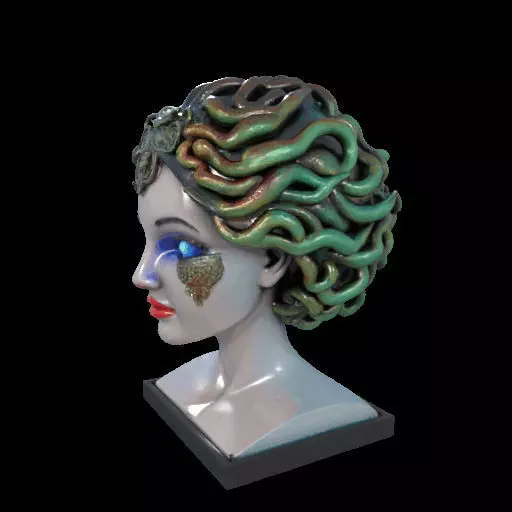 2087  Medusa Gorgon Head 3D Model  magic 3D print model_18