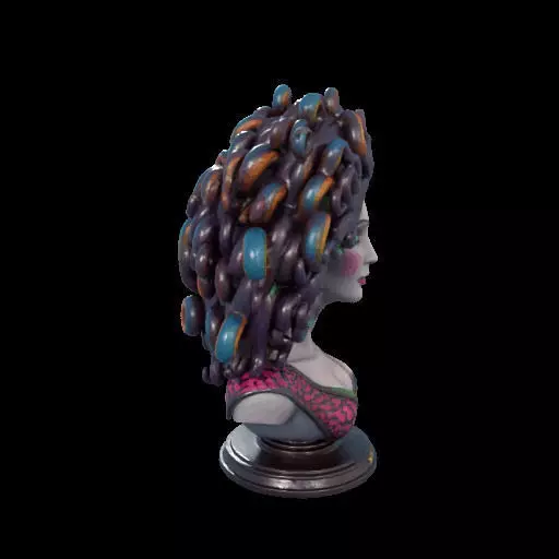2088  Medusa Gorgon Head 3D Model  magic 3D print model_27