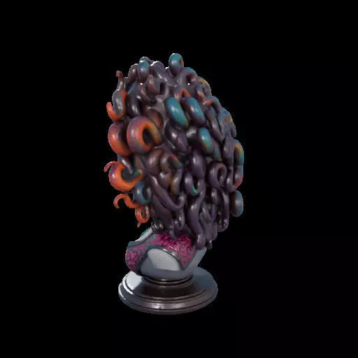 2088  Medusa Gorgon Head 3D Model  magic 3D print model_14
