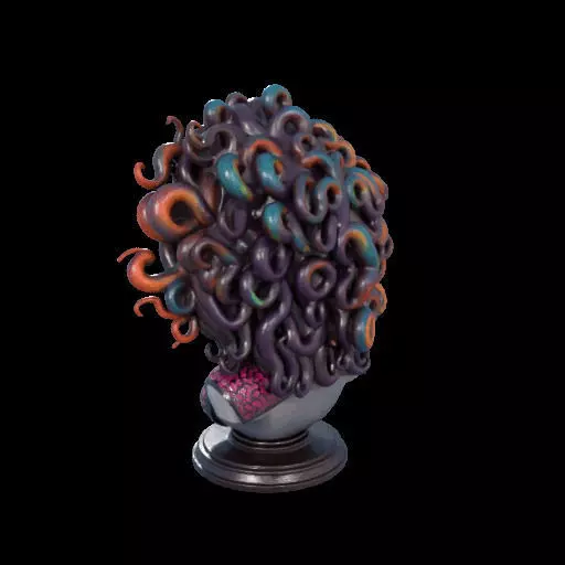 2088  Medusa Gorgon Head 3D Model  magic 3D print model_11