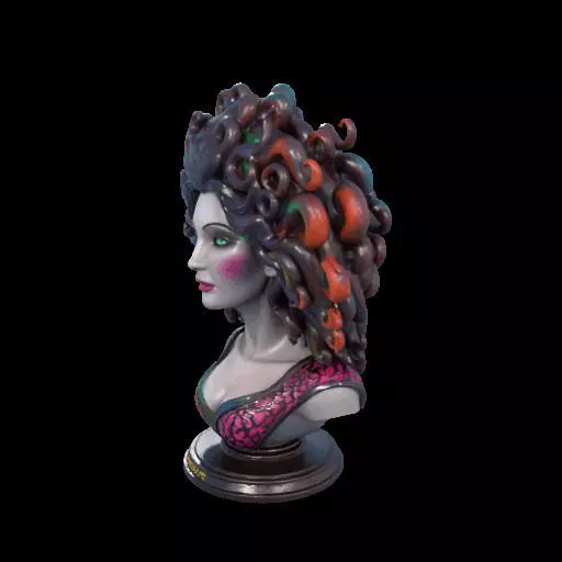 2088  Medusa Gorgon Head 3D Model  magic 3D print model_18