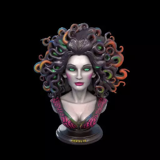 2088  Medusa Gorgon Head 3D Model  magic 3D print model_0