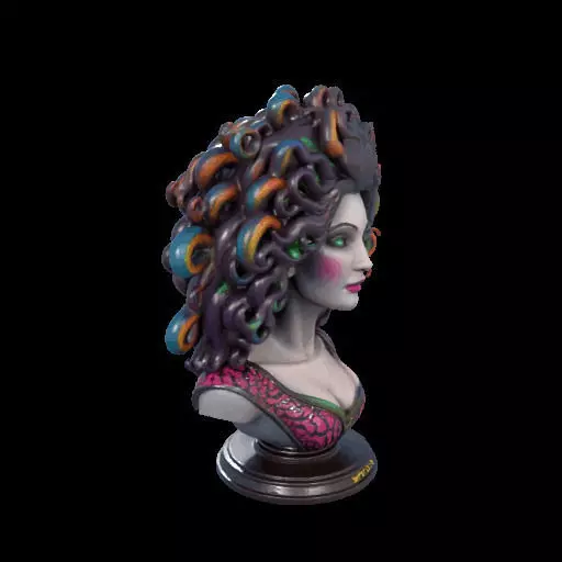 2088  Medusa Gorgon Head 3D Model  magic 3D print model_25