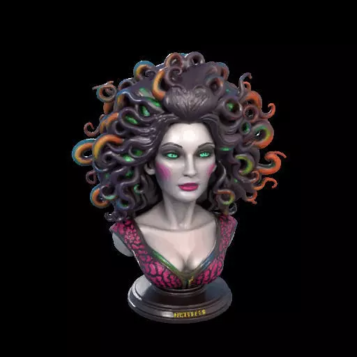 2088  Medusa Gorgon Head 3D Model  magic 3D print model_1