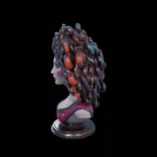 2088  Medusa Gorgon Head 3D Model  magic 3D print model_16