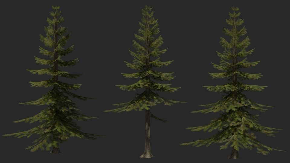 Foliage fern Free low-poly 3D model_1
