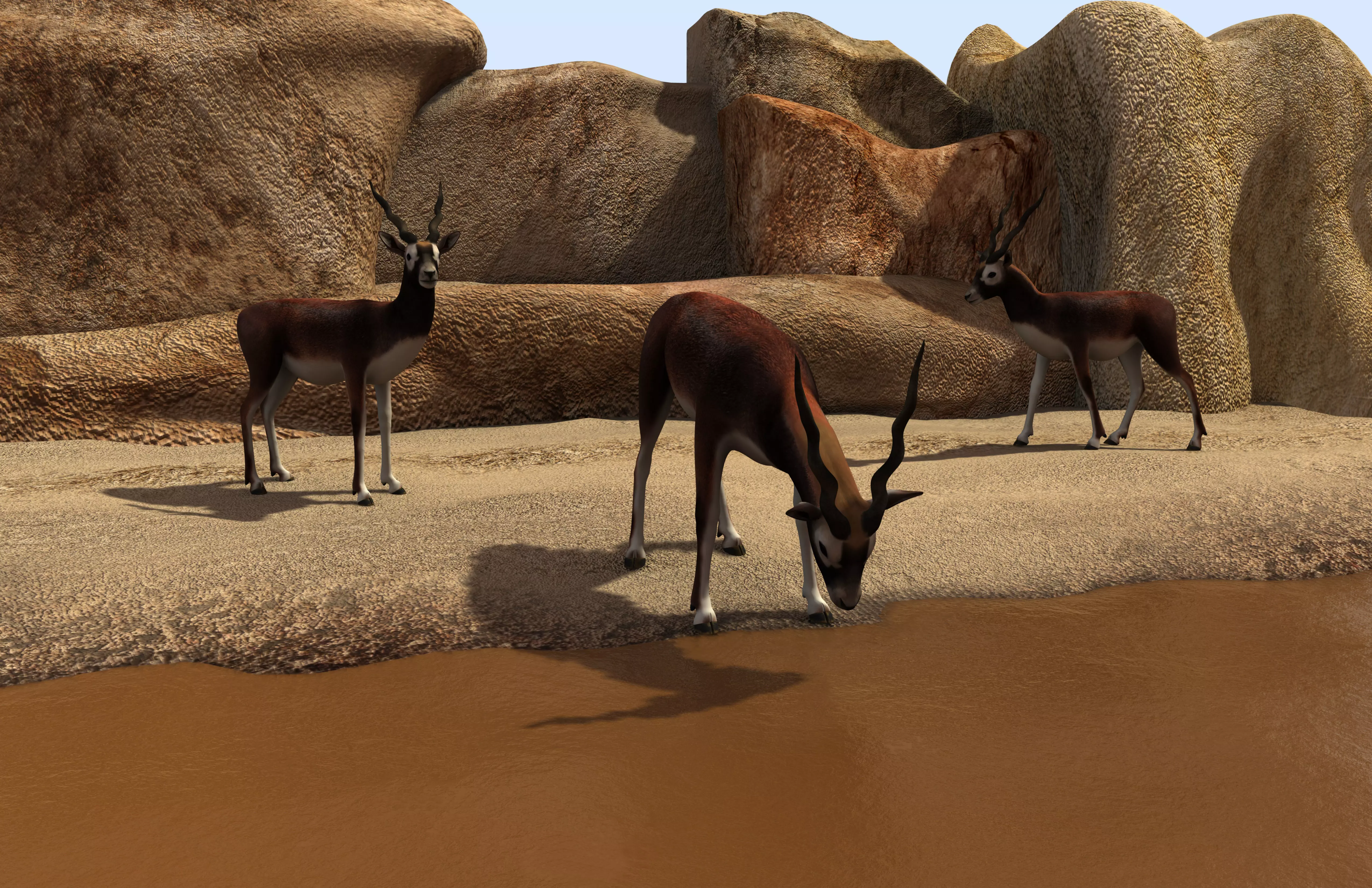 the deer three antelopes drinking from water source 3D model_0