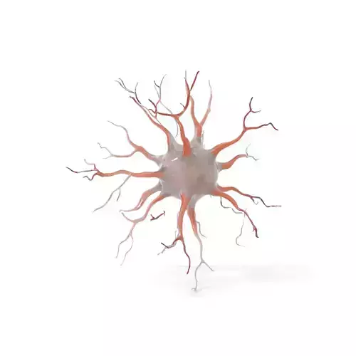 Organic Neuron Structure model pack