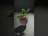 Ornate Plant Pot model pack Low-poly 3D model_2