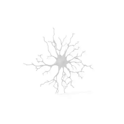 Intricate Neuron Structure model pack