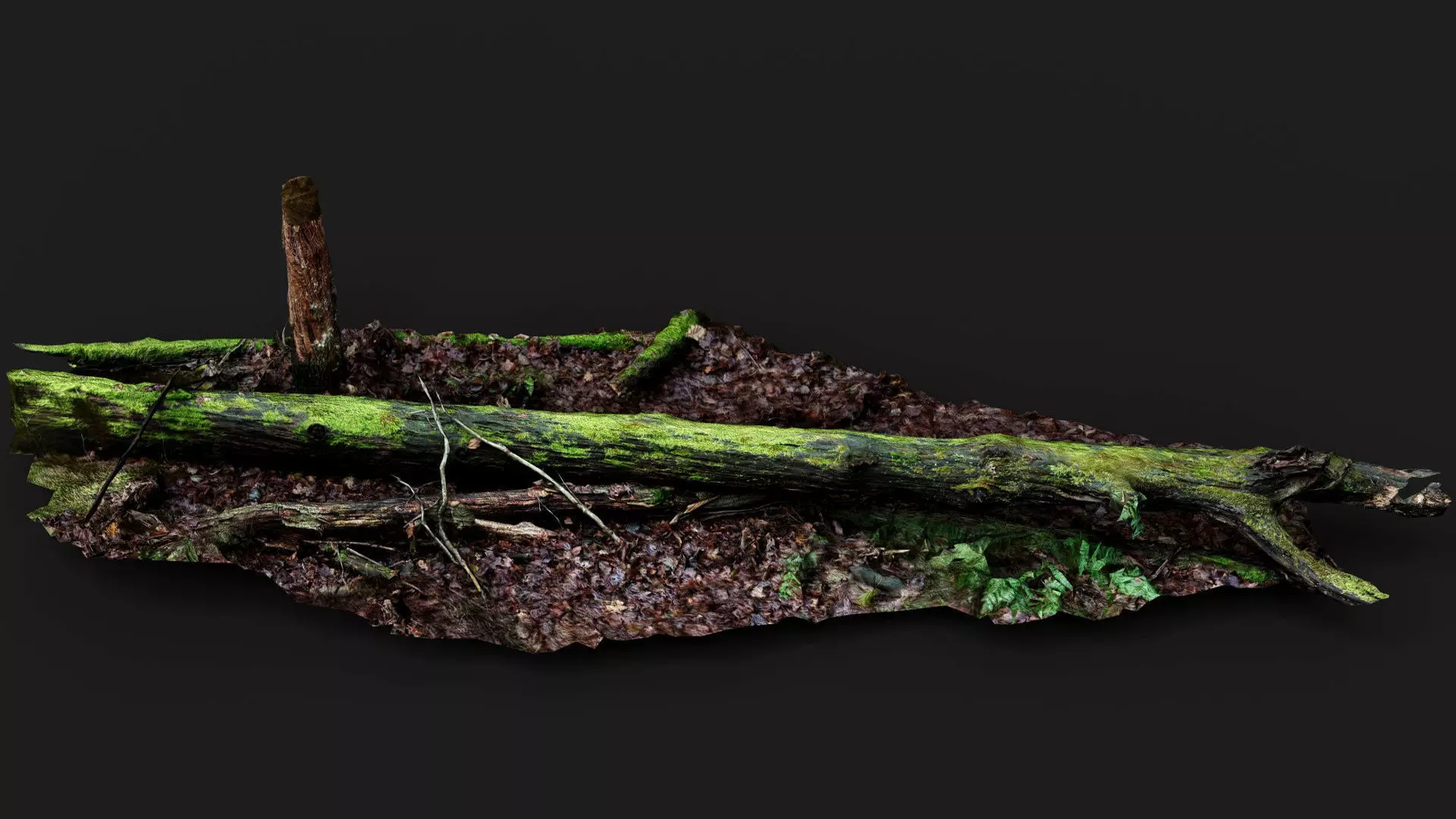 broken tree wet mossy trunk PBR photogrammetry Low-poly 3D model_4