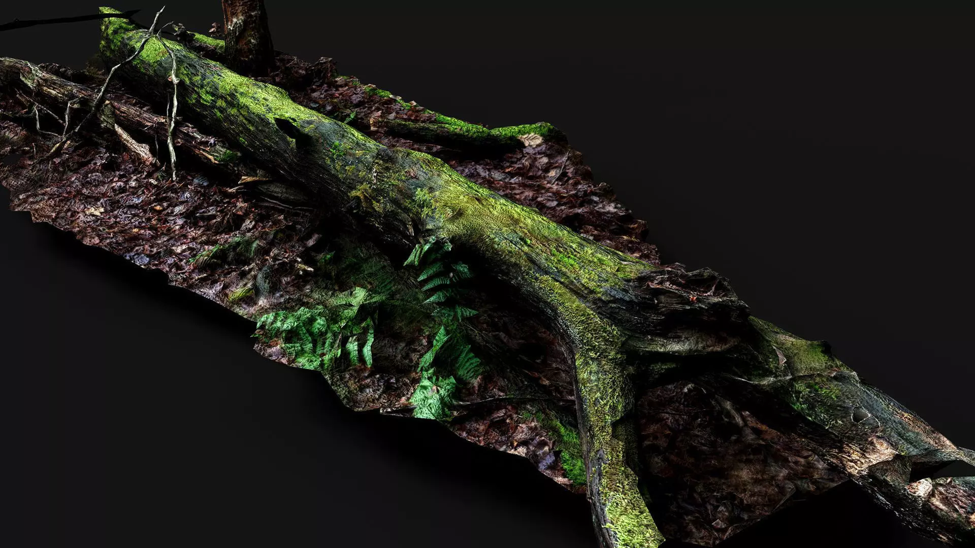 broken tree wet mossy trunk PBR photogrammetry Low-poly 3D model_1