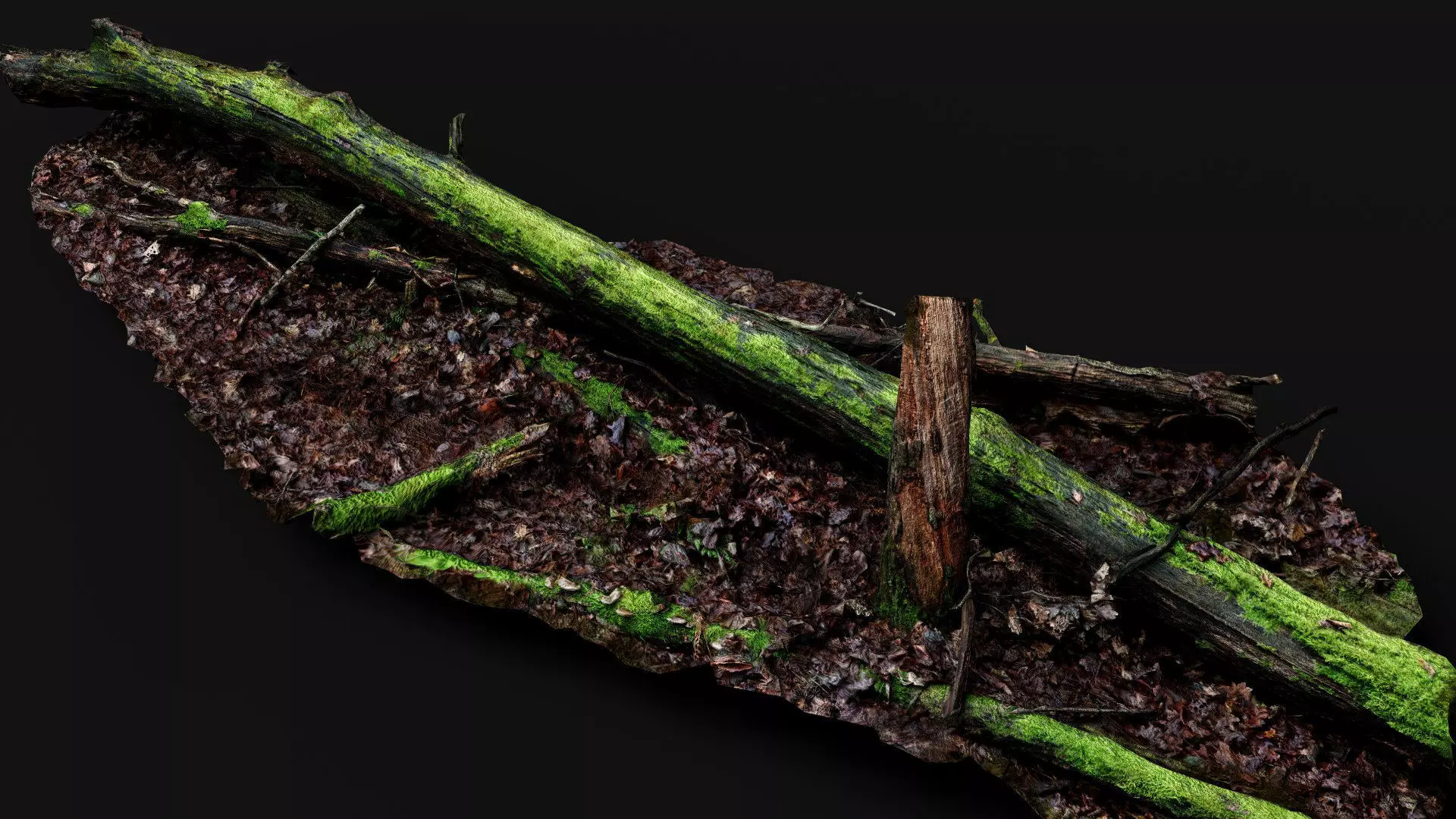 broken tree wet mossy trunk PBR photogrammetry Low-poly 3D model_2