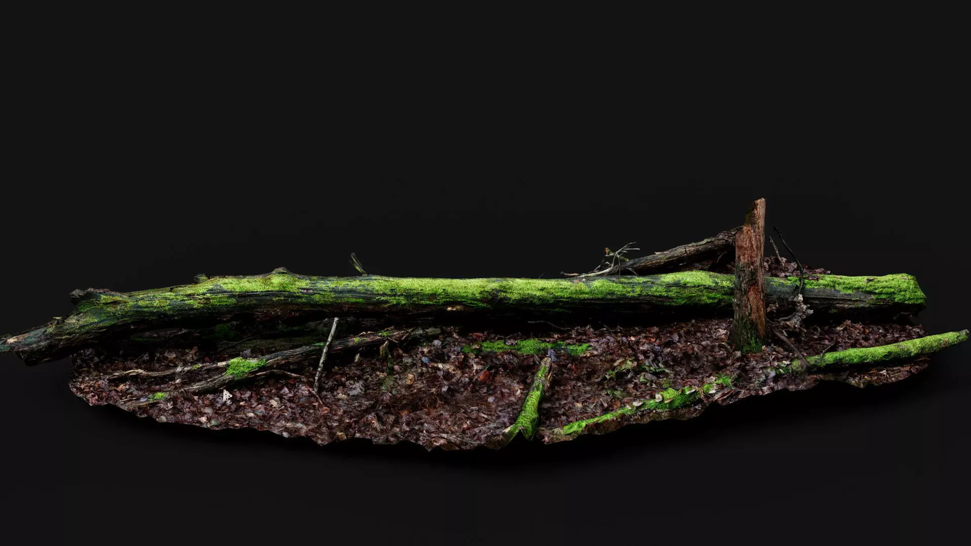 broken tree wet mossy trunk PBR photogrammetry Low-poly 3D model_5