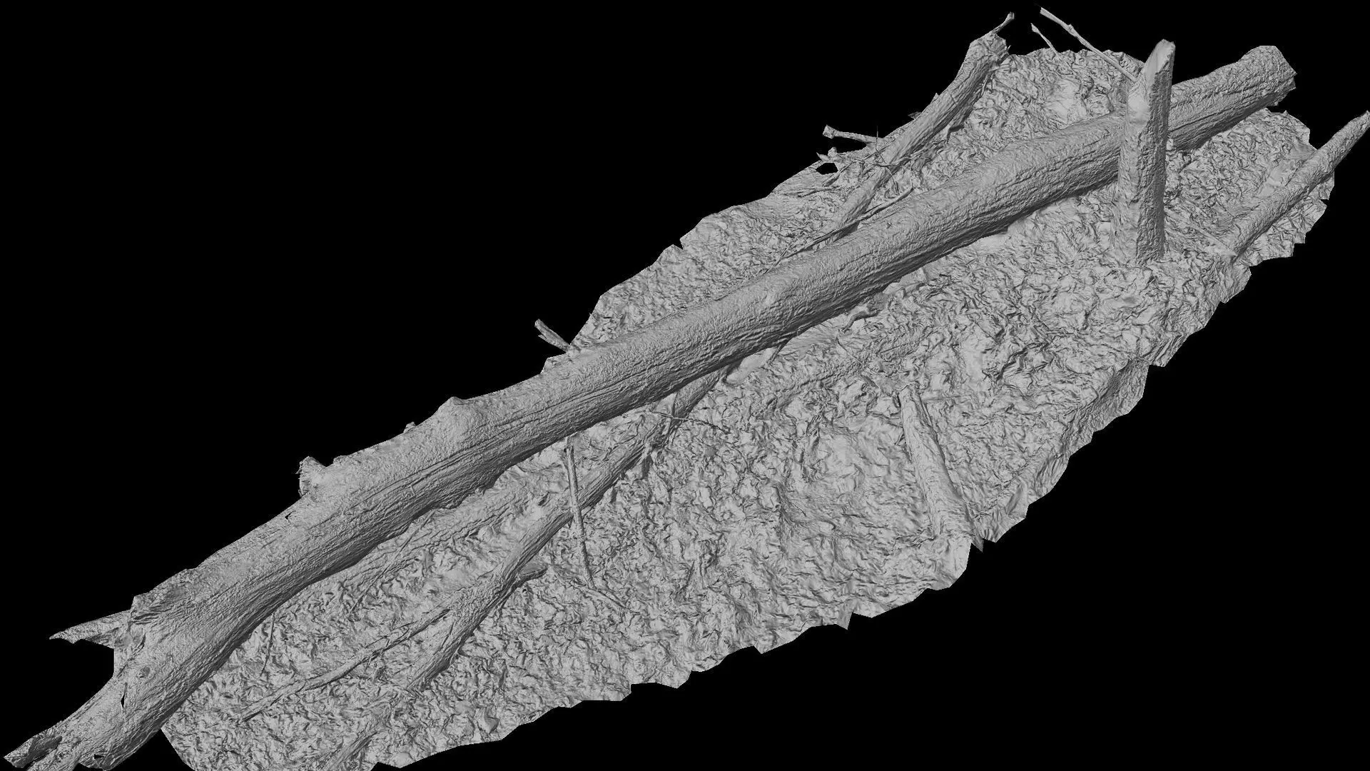 broken tree wet mossy trunk PBR photogrammetry Low-poly 3D model_6