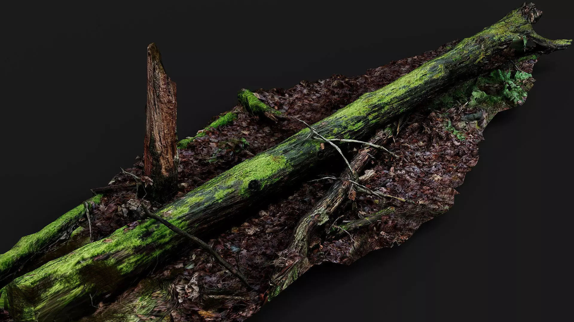 broken tree wet mossy trunk PBR photogrammetry Low-poly 3D model_0