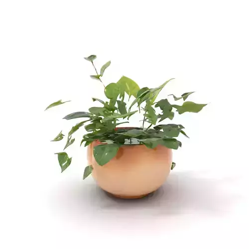 Green Foliage Planter model pack Low-poly 3D model