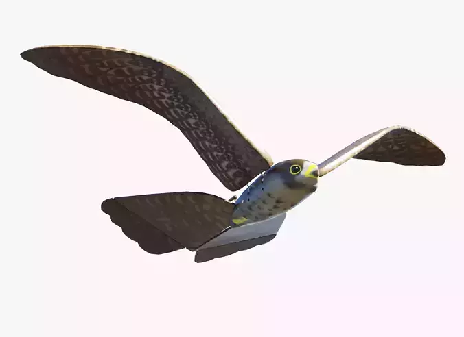 Aerium Robird falcon drone Low-poly 3D model