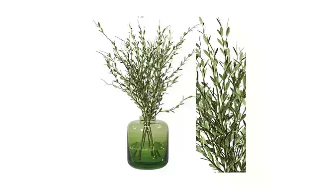 Little Leaf Bouquet Plant