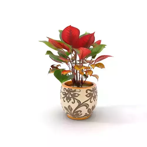 Vibrant Decorative Plant model pack