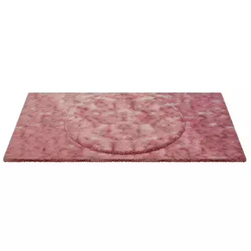 rug carpet 