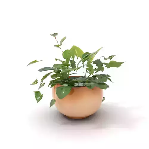 Verdant Foliage Planter model pack Low-poly 3D model