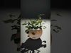 Verdant Foliage Planter model pack Low-poly 3D model_2