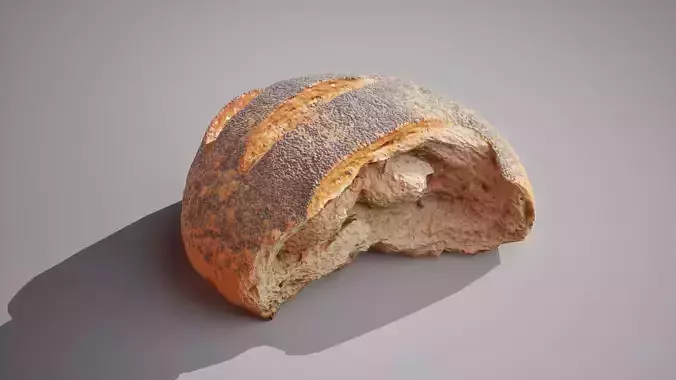 Half of poppy seed bread scaned Game ready 4K textures PBR