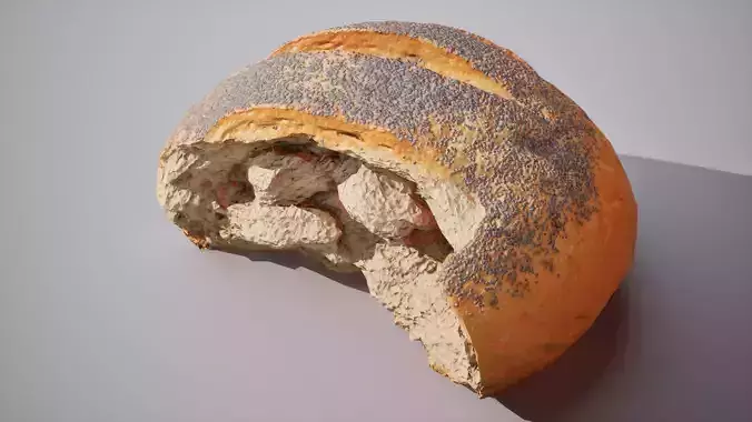 Half of poppy seed bread scaned Game ready 4K textures PBR Low-poly 3D model 6