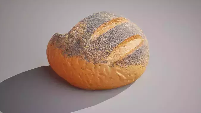 Half of poppy seed bread scaned Game ready 4K textures PBR Low-poly 3D model 3