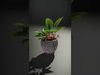 Intricate Floral Planter model pack Low-poly 3D model_2