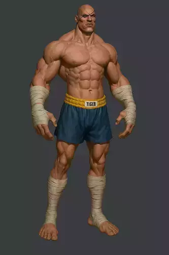 3D Fighter Character