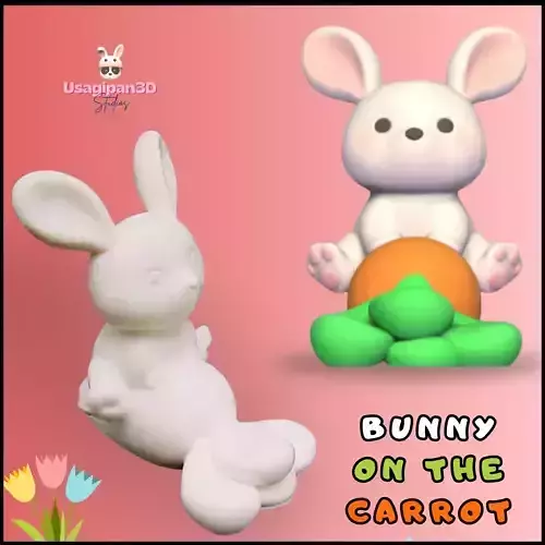 Bunny on the Carrot