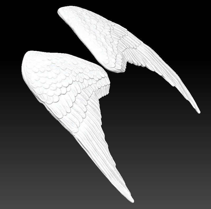 angel bird pair wings 3D model 3D printable | CGTrader