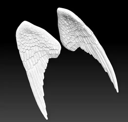 angel bird pair wings 3D print model