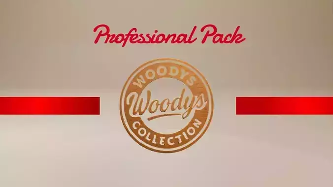 Promotion Professional Pack