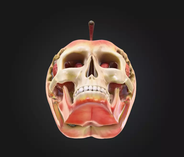 Apple Skull Dark Fantasy Low-poly 3D model_13