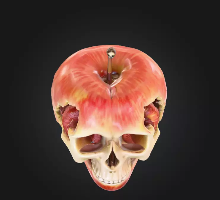 Apple Skull Dark Fantasy Low-poly 3D model_7