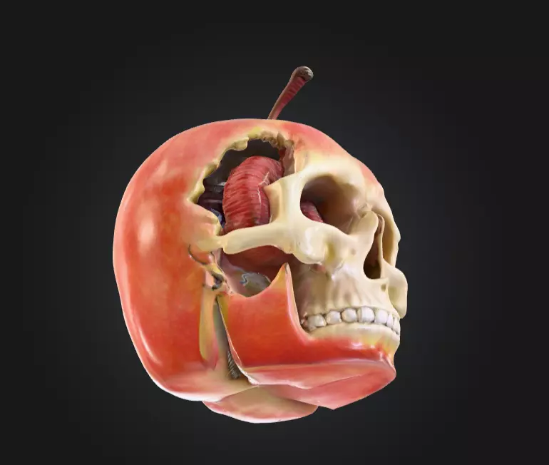 Apple Skull Dark Fantasy Low-poly 3D model_14