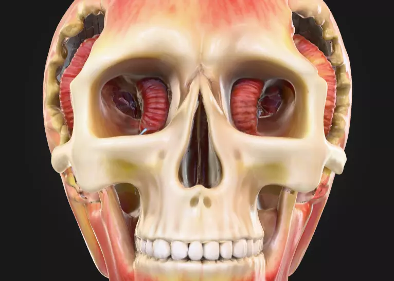 Apple Skull Dark Fantasy Low-poly 3D model_16