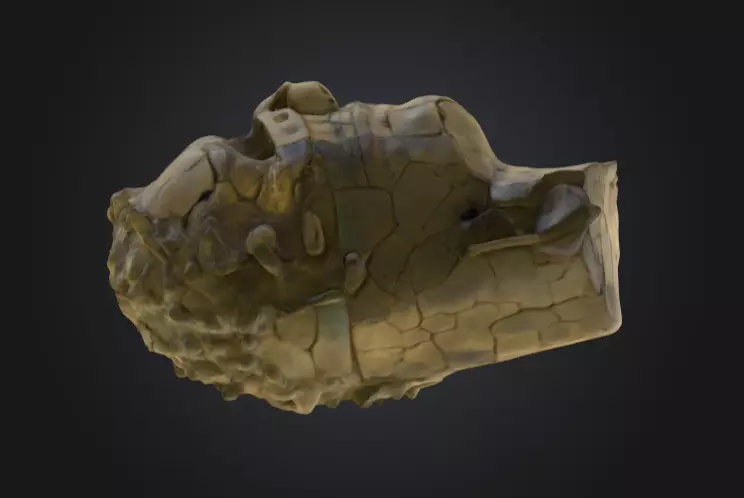 Echoes of Antiquity Head Low-poly 3D model_10