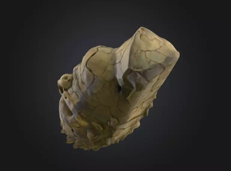 Echoes of Antiquity Head Low-poly 3D model_11