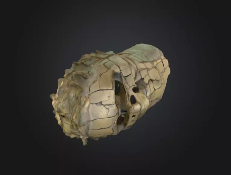 Echoes of Antiquity Head Low-poly 3D model_2