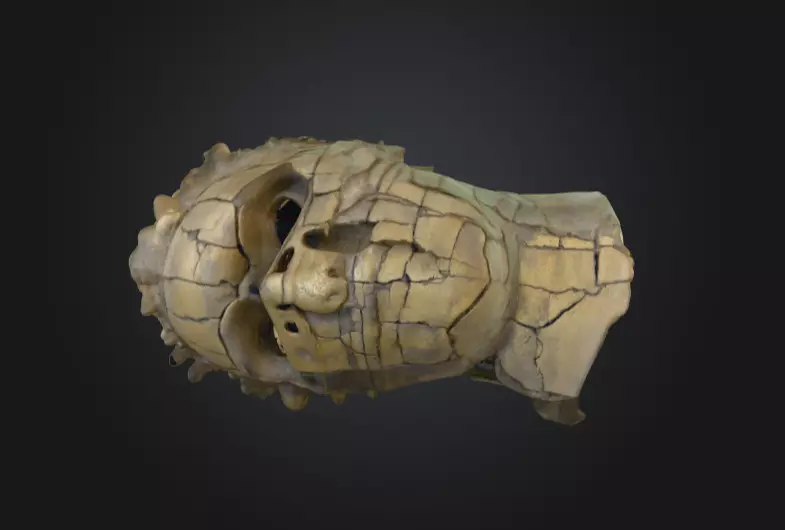 Echoes of Antiquity Head Low-poly 3D model_7