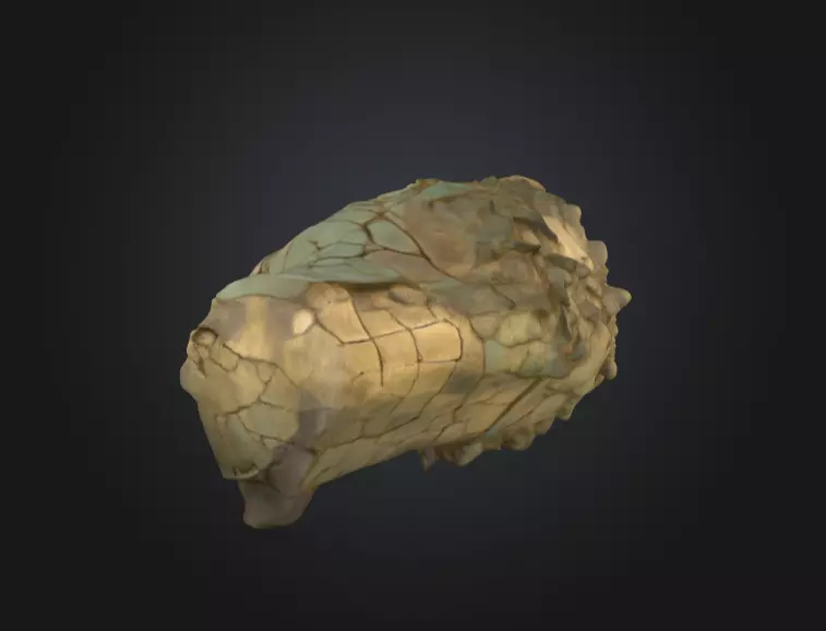 Echoes of Antiquity Head Low-poly 3D model_5