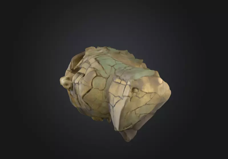 Echoes of Antiquity Head Low-poly 3D model_6