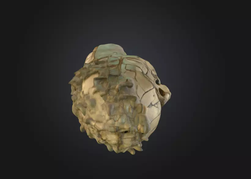 Echoes of Antiquity Head Low-poly 3D model_3